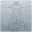 vitruvian